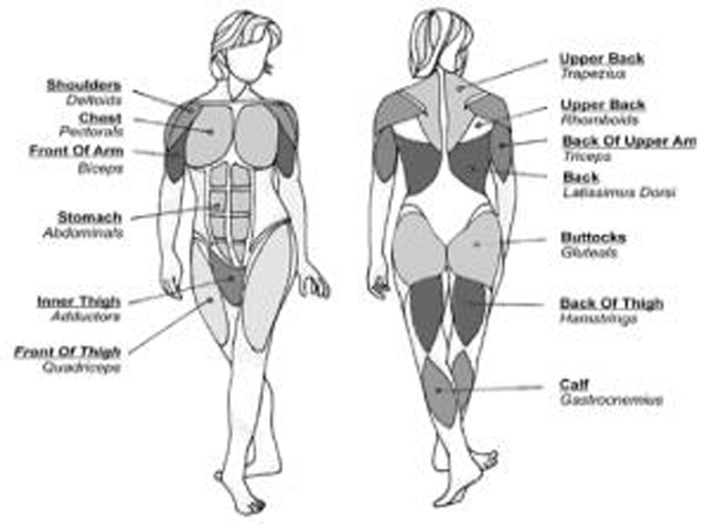 Ultimate Workout and Recovery System - Targets Ultimate Workout and Recovery System - Targets